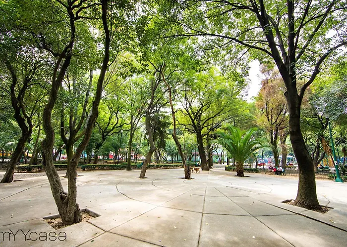 Apartment Nadal 202 - Brand New Park Front Terrace Mexico City